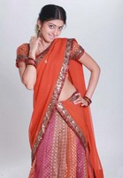 Pranitha Half Saree Photos